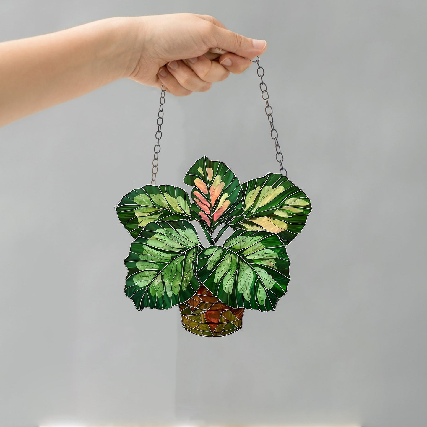Calathea Medallion leaves window hanging, Flowers Acrylic Window Hanging Art Decoration, Monstera plant Ornament, Gift for her, Mom