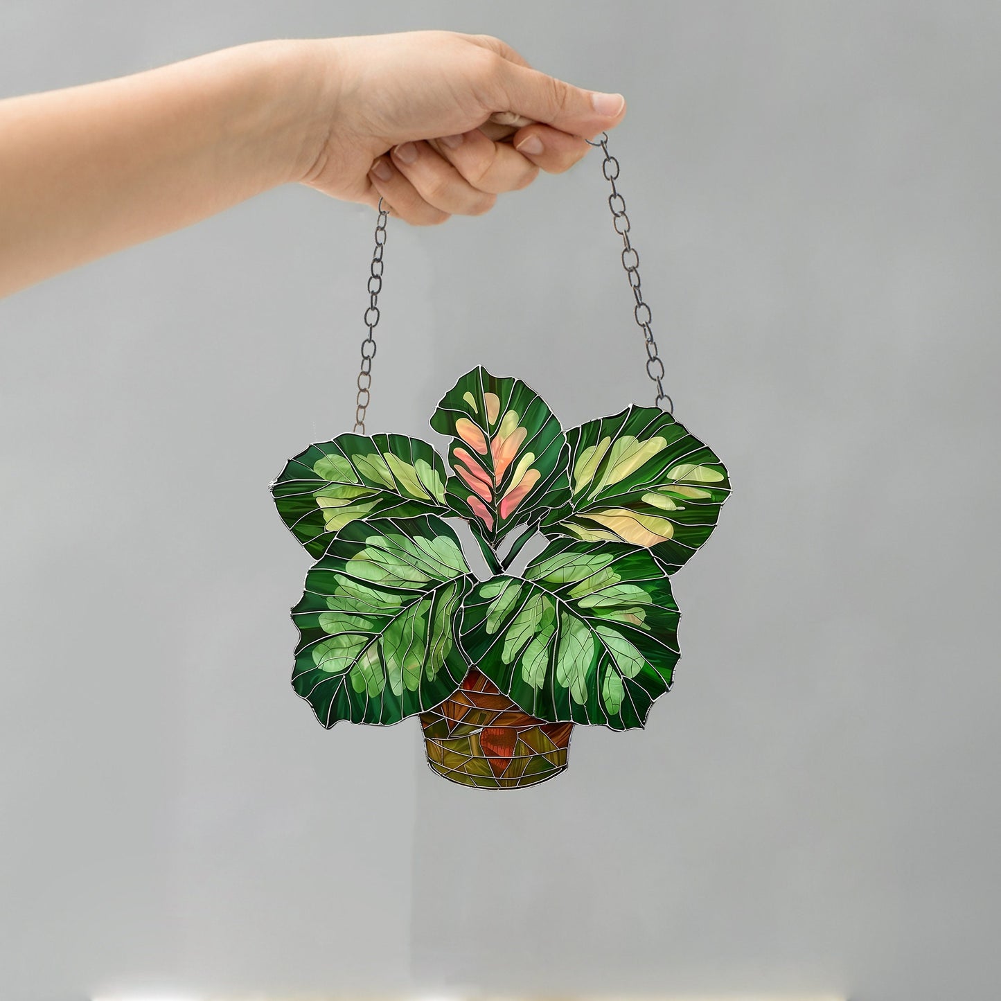 Calathea Medallion leaves window hanging, Flowers Acrylic Window Hanging Art Decoration, Monstera plant Ornament, Gift for her, Mom