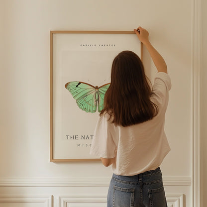 The Naturalists Miscellany Art Print, Papilio Laertes Butterfy, Girly Wall Art, Famous Art Prints, Entomology Poster, Butterfly Artwork