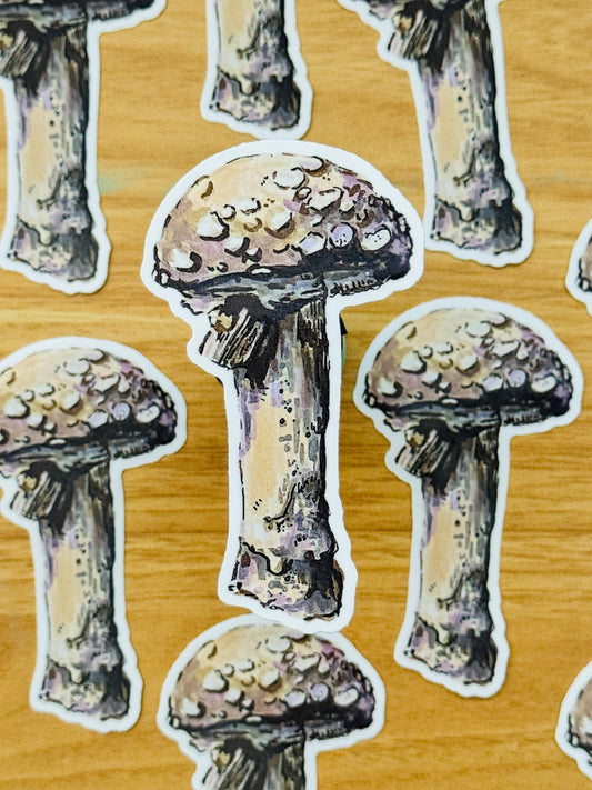 Mushroom  Decal | Waterproof  Weatherproof | Forest Fungi Mushroom Sticker