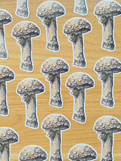 Mushroom  Decal | Waterproof  Weatherproof | Forest Fungi Mushroom Sticker