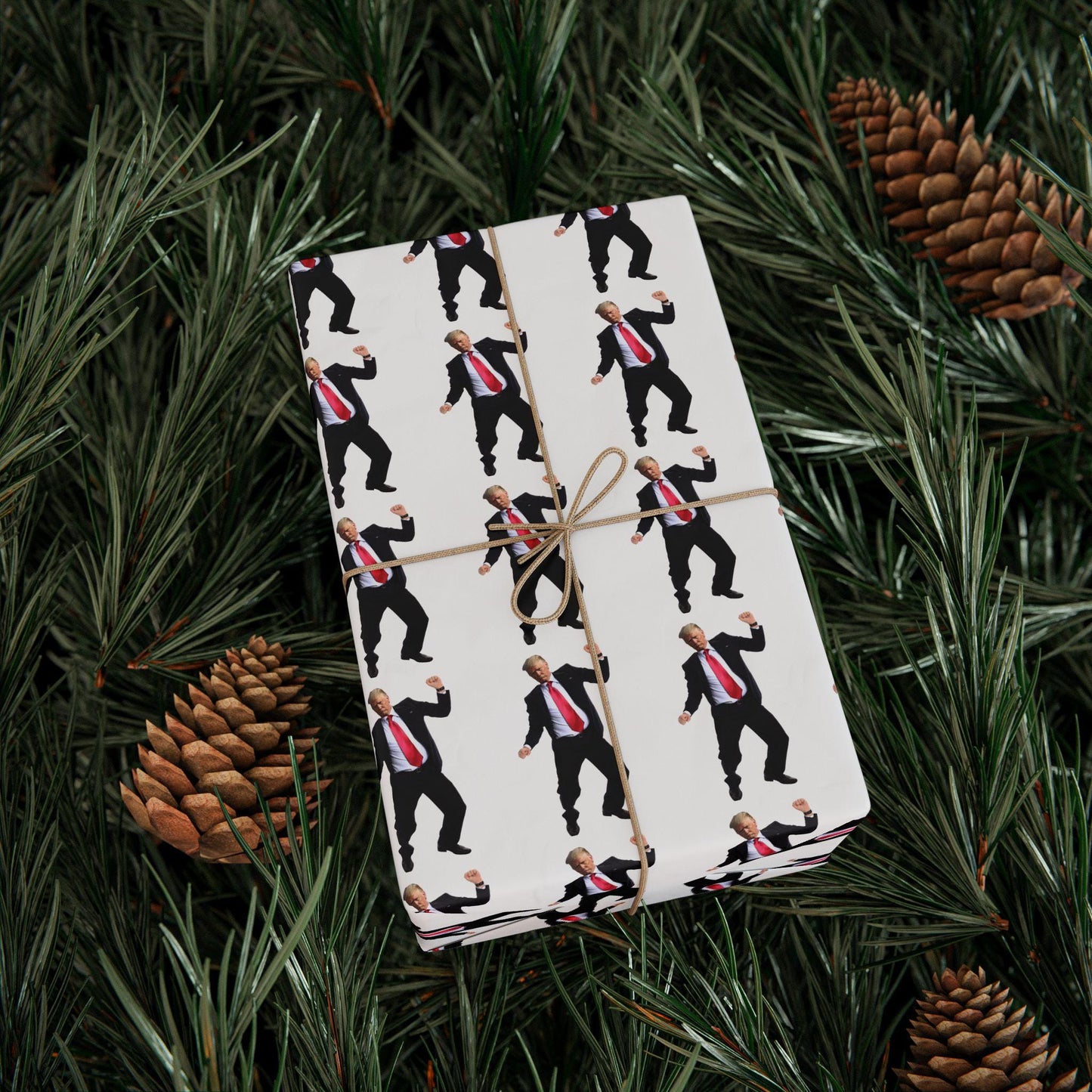 Wrapping Papers, Christmas Gift Wrap, Trump 47 Dancing Republican Gag Gift, Funny Paper, White Elephant Gifts