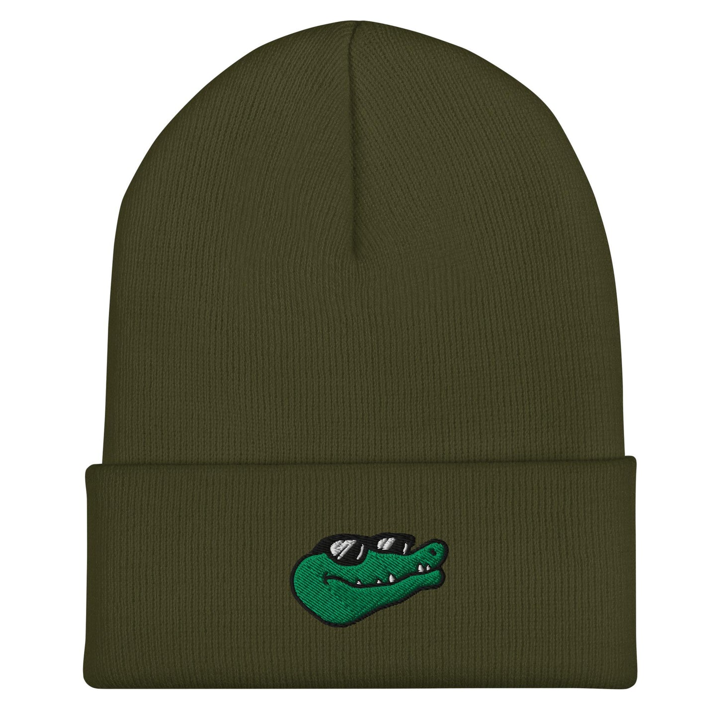 Alligator Beanie, Handmade Cuffed Knit Unisex Slouchy Adult Winter Hat Cap Gift, Kawaii