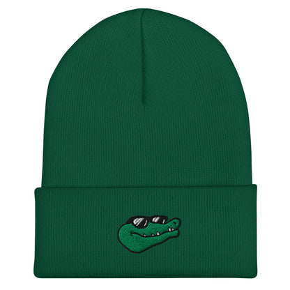 Alligator Beanie, Handmade Cuffed Knit Unisex Slouchy Adult Winter Hat Cap Gift, Kawaii