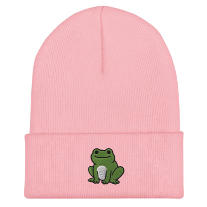 Frog Beanie, Handmade Cuffed Knit Unisex, Goblincore Slouchy Adult Winter Hat Cap Gift, Kawaii