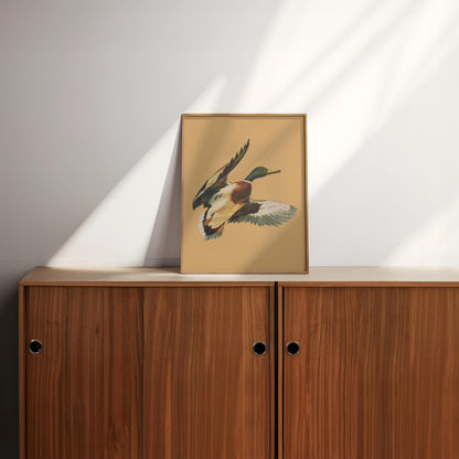 Vintage Flying Mallard Print Retro Outdoors Magazine Screen Print Styled Poster Cabin Cottage Wall Art Waterfowl Duck Hunting Poster for Dad