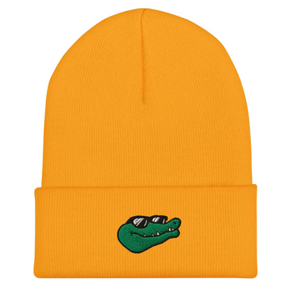 Alligator Beanie, Handmade Cuffed Knit Unisex Slouchy Adult Winter Hat Cap Gift, Kawaii