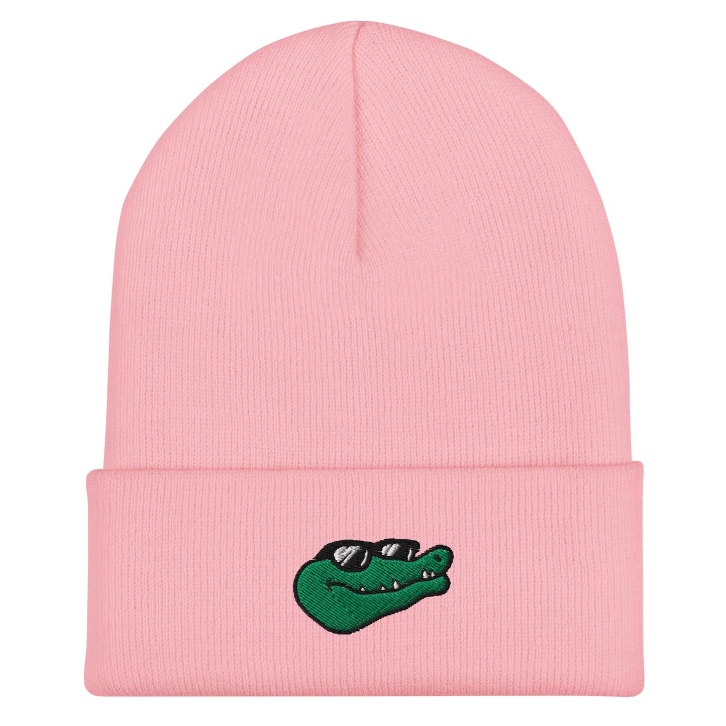 Alligator Beanie, Handmade Cuffed Knit Unisex Slouchy Adult Winter Hat Cap Gift, Kawaii