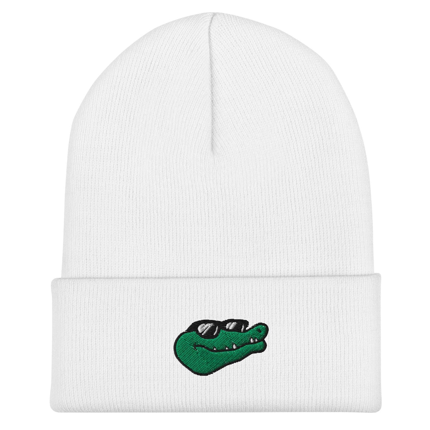 Alligator Beanie, Handmade Cuffed Knit Unisex Slouchy Adult Winter Hat Cap Gift, Kawaii