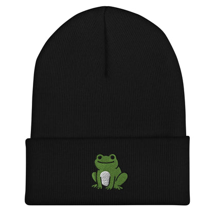 Frog Beanie, Handmade Cuffed Knit Unisex, Goblincore Slouchy Adult Winter Hat Cap Gift, Kawaii