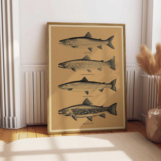 Trout and Salmon Vintage Fly Fishing Poster Art Retro Cabin Wall Decor Outdoor Sports Fisherman Illustration Father's Day Gift for Dad