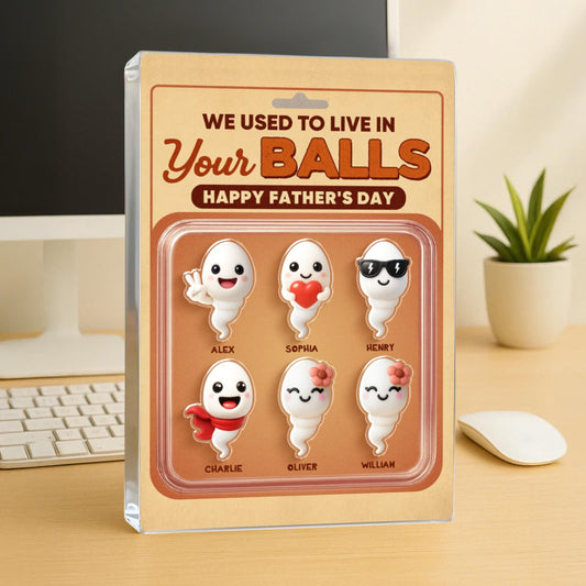We Used To Live In Your Balls Toy Box Figures Style Personalized Acrylic Block Plaque, Funny Father's Day gift for Dads, Husband, Father