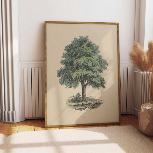 Vintage Tilia Tree Drawing Print Fine Art Linden Tree Poster Cabin Cottage Wall Art Botanical Forest Illustration Nature Wall Decor