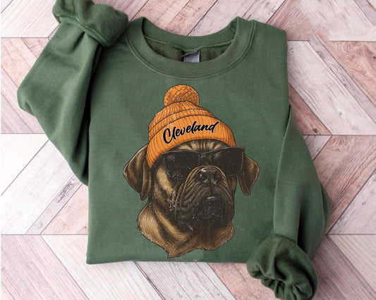 Vintage Cleveland Football shirt, Cleveland Football, Retro Style Cleveland Football Shirt Gift, Graphic Tee Gift For Football Fan Sport