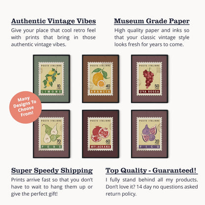 Fig Poster, Fig Fruit Market Print | Italian Food Art | Retro Food Art Print, Fig Wall Art, Fruit Poster Set