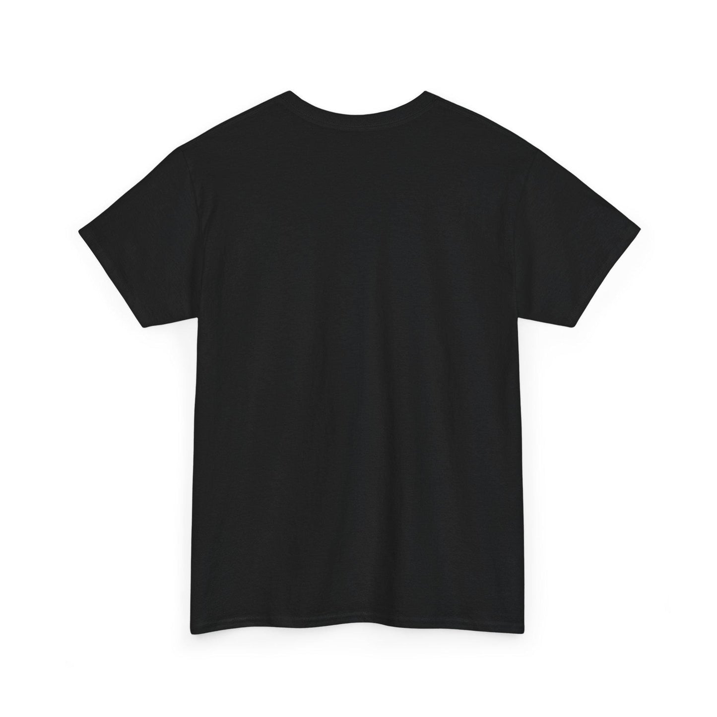 Halloween Wednesday Addams Cat T-Shirt, Funny Gothic Tee, Spooky Cute Black Cat Shirt, Creepy Cute Halloween Graphic Tee