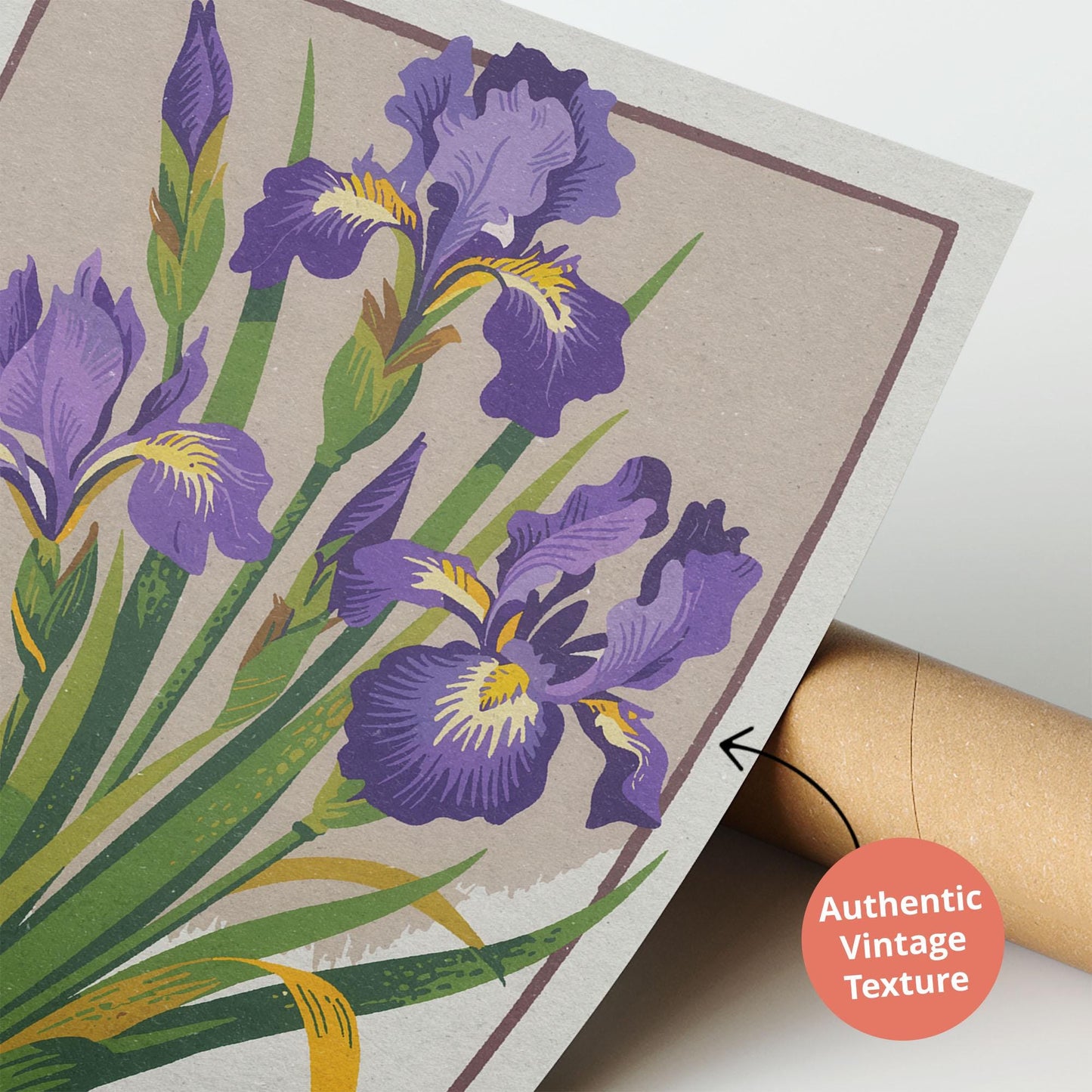 Florence Iris Botanical Poster, Retro Botanical Home Decor | Italian Floral Wall Art Gift for Gardeners, Mid Century Flower Art