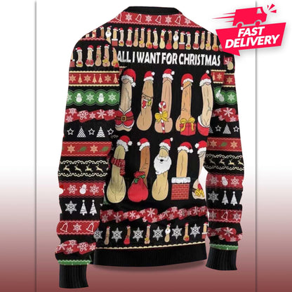 Merry Christmas Penis Ugly Sweater, Family Matching Outfit, Friends Party, Hoodie Christmas Gifts, funny Shirt For Husband, Boy friend Ugly