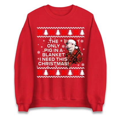 The Only Pig In Blanket I Need This Christmas Jumper, Xmas Funny Hoodie, Adult Humour Christmas T Shirt