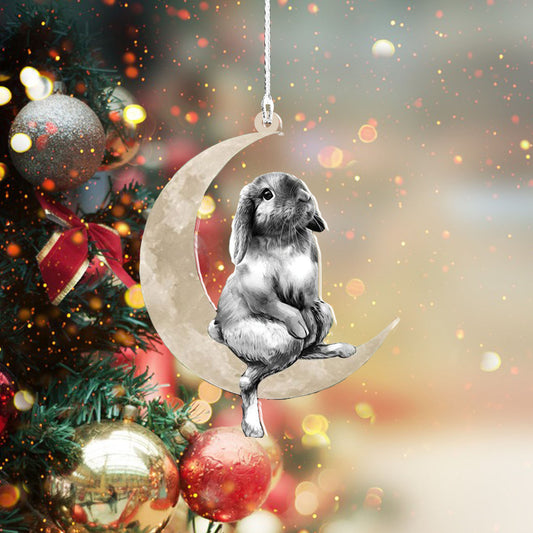 Rabbit Sits On The Moon Hanging Flat Acrylic Ornament_5932, Ornament Decoration, Ornament Christmas - TeeZworldVN