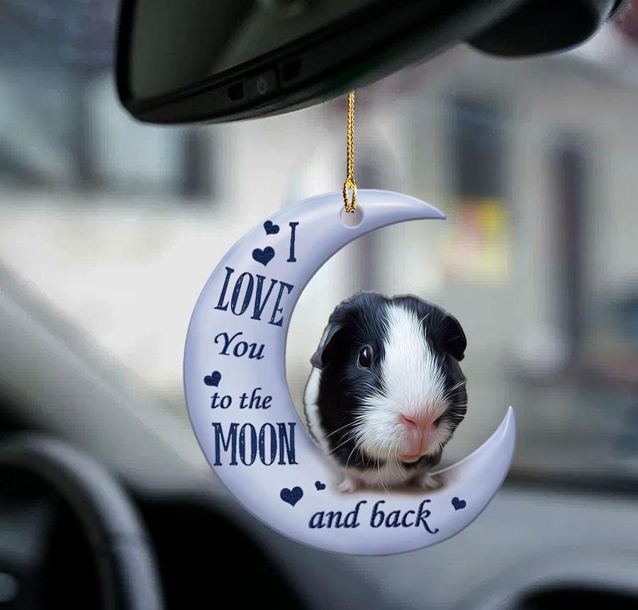 Black White Guinea Pig Moon Back Two Sided Ornament - Best gifts your whole family