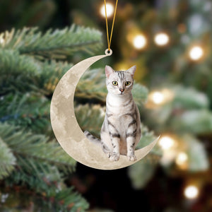 American Shorthair Cat Sits On The Moon Hanging Ornament - Best gifts your whole family