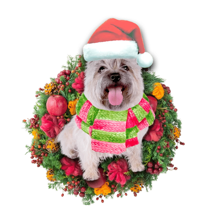 Cairn Terrier Christmas Ornament, Happy Christmas Ornament, Christmas Gift, Christmas Decoration