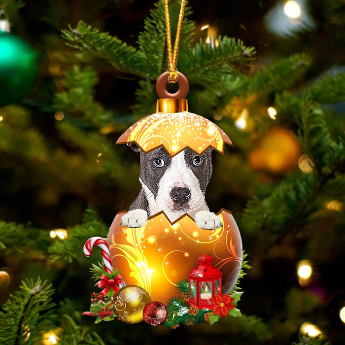 Pitbull In Golden Egg Christmas Ornament_6775, Pet Love Gift, Christmas Ornament, Christmas Gift