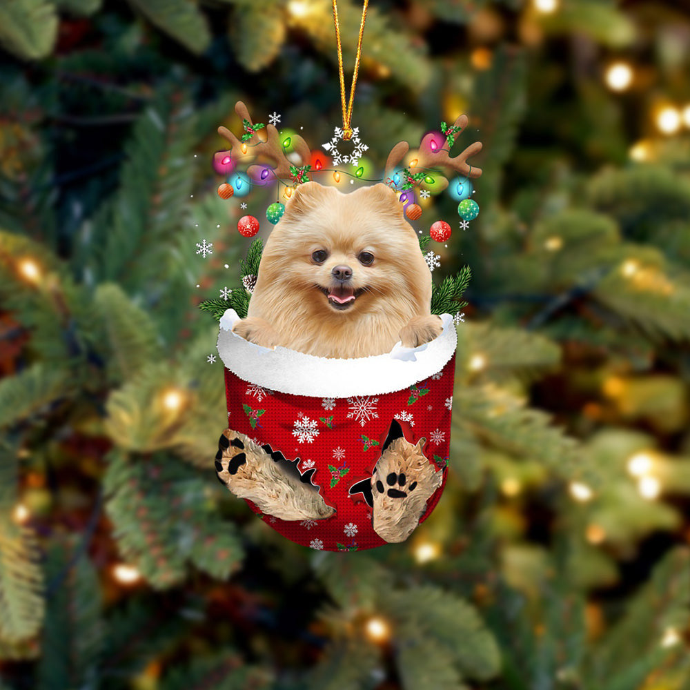 Pomeranian In Snow Pocket Christmas Ornament Flat Acrylic Dog Ornament,Christmas Shape Ornament, Happy Christmas Ornament, Christmas Gift, Christmas Decoration