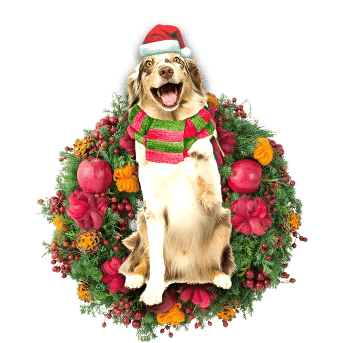 Australian Shepherd Christmas Ornament, Christmas Ornament Gift, Christmas Gift, Christmas Decoration