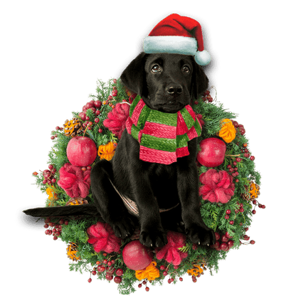Black Labrador Retriever Christmas Christmas Plastic Hanging Ornament, Christmas Ornament Gift, Christmas Gift, Christmas Decoration