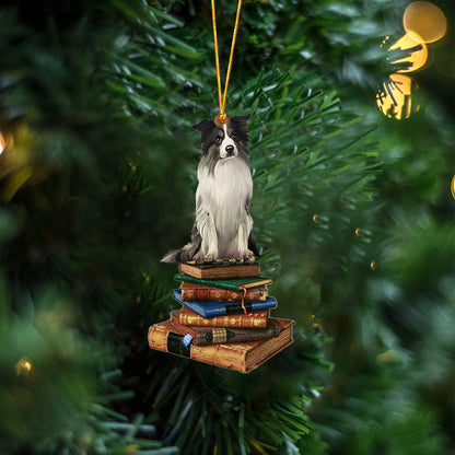 Border Collie-Sit On The Book Two Sides Christmas Plastic Hanging Ornament, Christmas Ornament Gift, Christmas Gift, Christmas Decoration