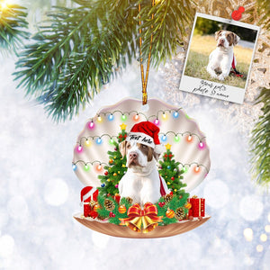 Custom Pet Dog Cat Sleeping Seashell Flat 2D Ornament Personalized Photo, Christmas Tree Ornament, Home Decor, Christmas Gift, Christmas Decoration