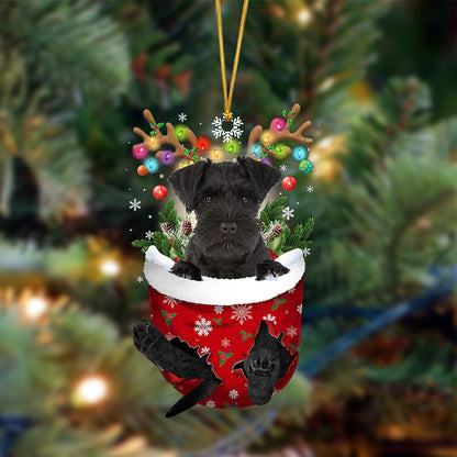 BLACK Miniature Schnauzer-In Christmas Pocket Two Sides Christmas Plastic Hanging Ornament, Christmas Ornament Gift, Christmas Gift, Christmas Decoration