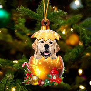 Cute Golden Retriever In Golden Egg Christmas Ornament, Christmas Ornament, Pet Love Gift, Christmas Gift