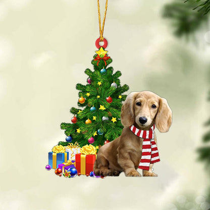 Dachshund-Christmas Star Hanging Christmas Plastic Hanging Ornament, Christmas Gift, Christmas Decoration
