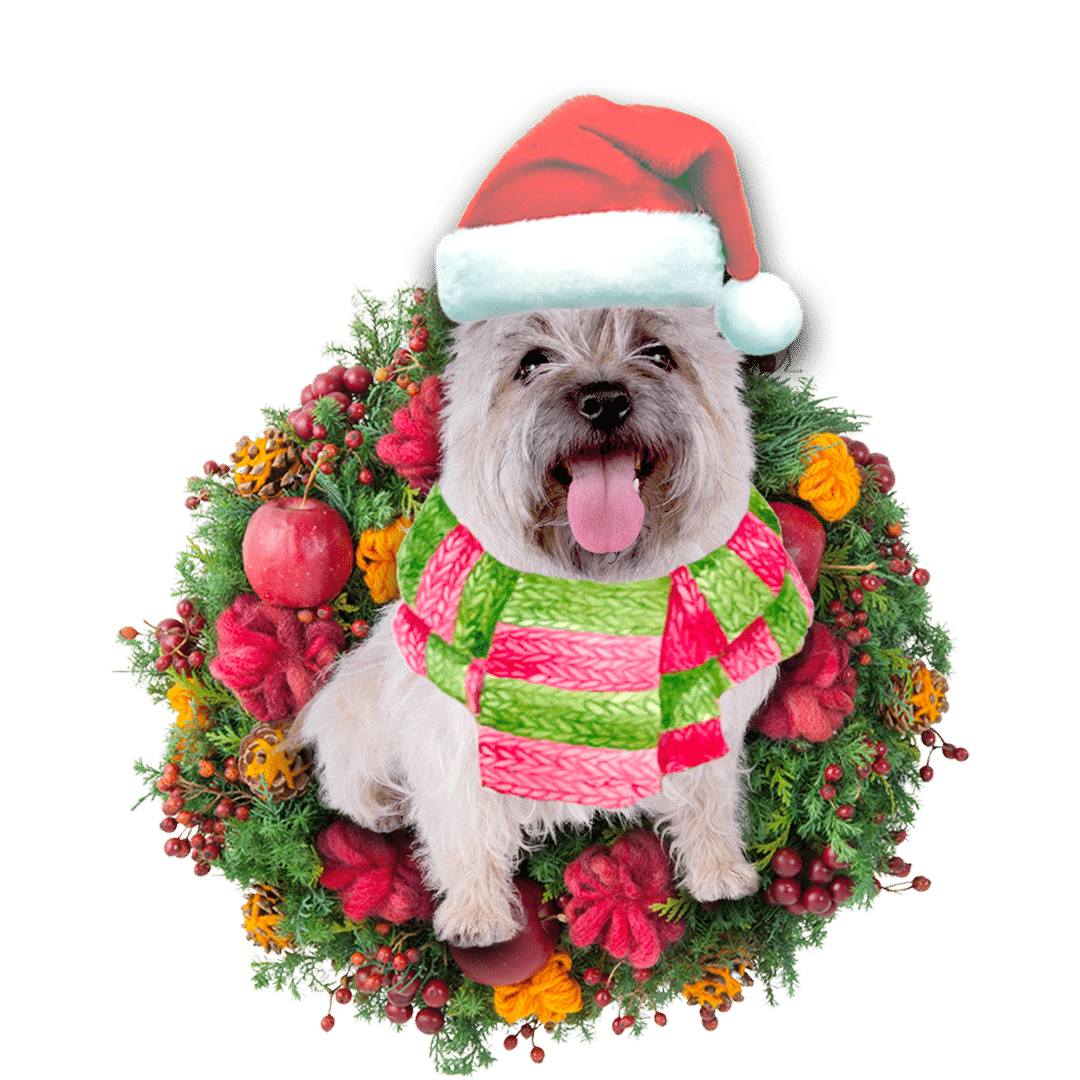 Cairn Terrier Christmas Christmas Plastic Hanging Ornament, Happy Christmas Ornament, Christmas Gift, Christmas Decoration