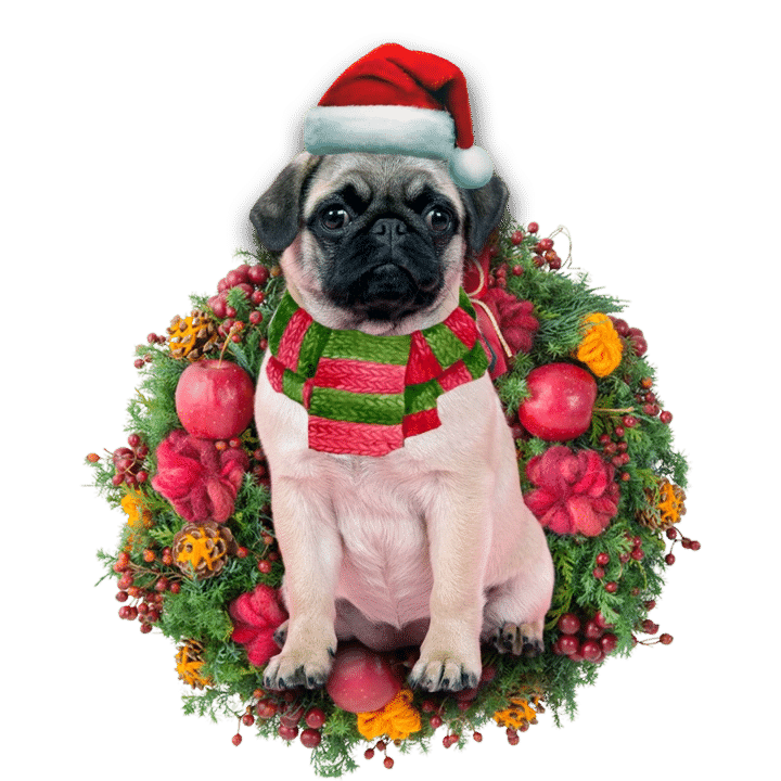 Chihuahua Pug Christmas Ornament, Happy Christmas Ornament, Christmas Gift, Christmas Decoration