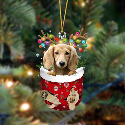 Long haired Dachshund-In Christmas Pocket Two Sides Christmas Plastic Hanging Ornament, Christmas Gift, Christmas Decoration