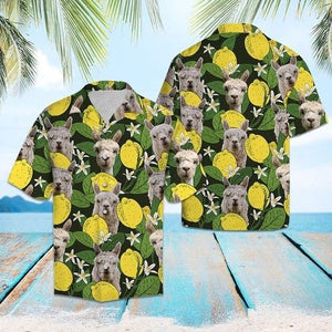 Alpacas Lemons Hawaiian Shirt Summer, Christmas Gift