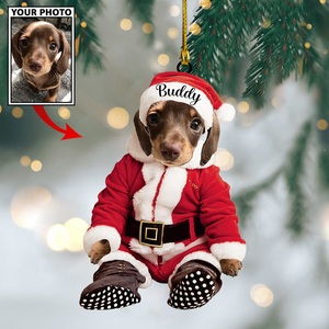 Personalized Gift For Pet Lovers Pet In Santa Claus Costume, Christmas Ornament, Christmas Gift