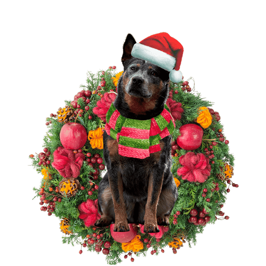 Australian Cattle Christmas Christmas Plastic Hanging Ornament, Christmas Ornament Gift, Christmas Gift, Christmas Decoration