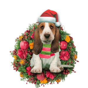 Basset Hound Christmas Christmas Plastic Hanging Ornament, Christmas Ornament Gift, Christmas Gift, Christmas Decoration