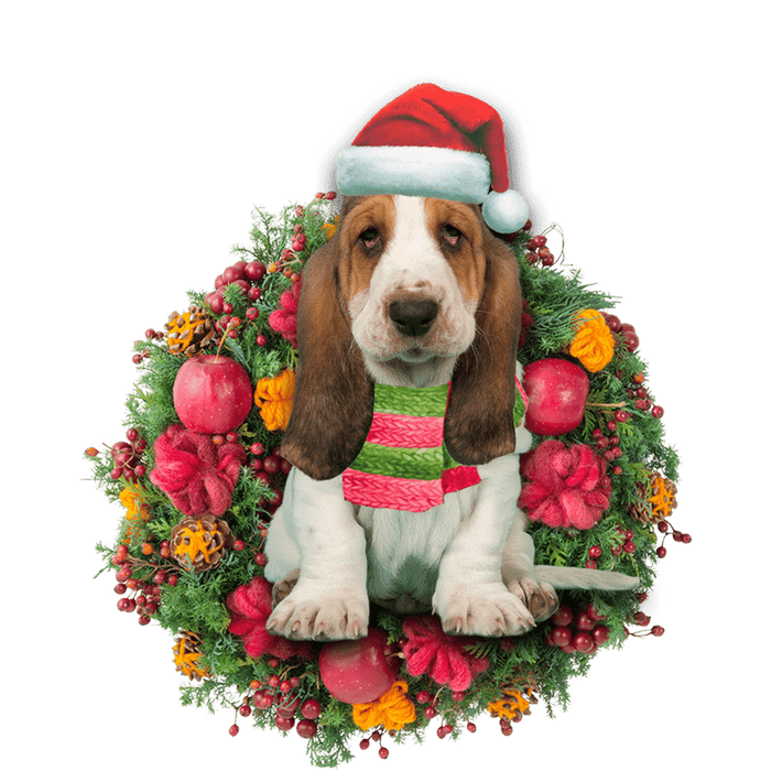 Basset Hound Christmas Christmas Plastic Hanging Ornament, Christmas Ornament Gift, Christmas Gift, Christmas Decoration