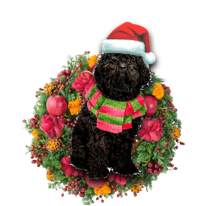 Black Poodle Christmas Ornament, Christmas Ornament Gift, Christmas Gift, Christmas Decoration