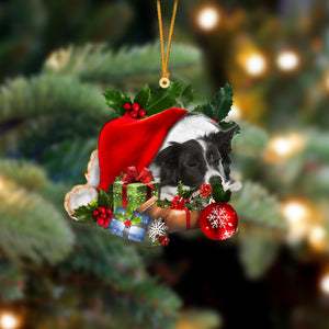 Border Collie-Sleeping In Hat Two Sides Christmas Plastic Hanging Ornament, Christmas Ornament Gift, Christmas Gift, Christmas Decoration