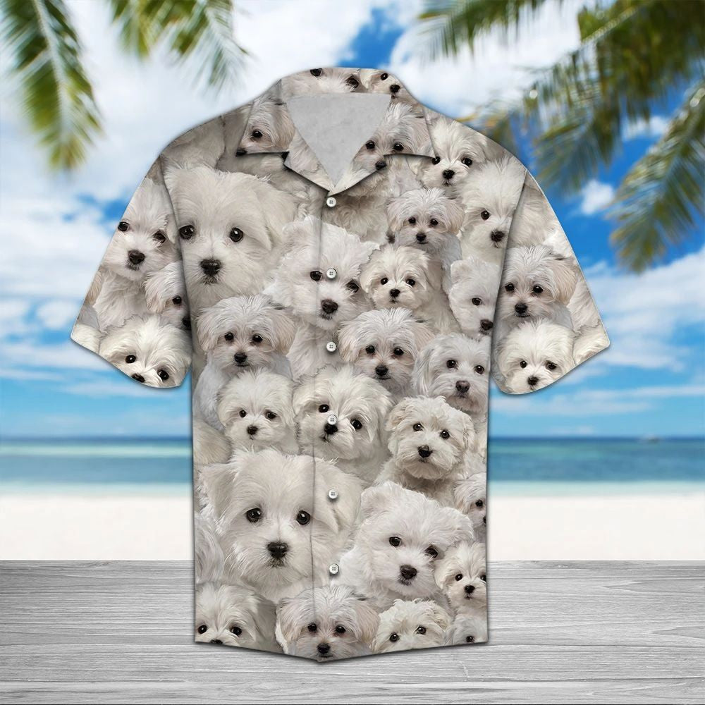 There Was A Girl Who Really Love Maltese Dog Hawaiian Shirt, Hawaiian Shirt Gift, Christmas Gift