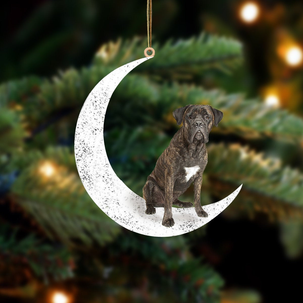 Brown Cane Corso-Sit On The Moon-Two Sided Christmas Plastic Hanging Ornament, Happy Christmas Ornament, Christmas Gift, Christmas Decoration