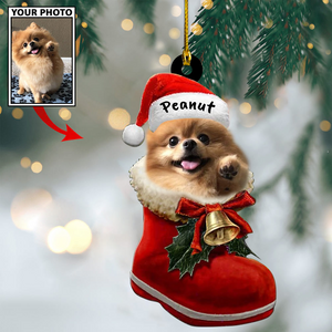 Personalized Gift For Pet Lovers Pet In Santa Shoes, Pet Love Gift, Christmas Ornament, Christmas Gift