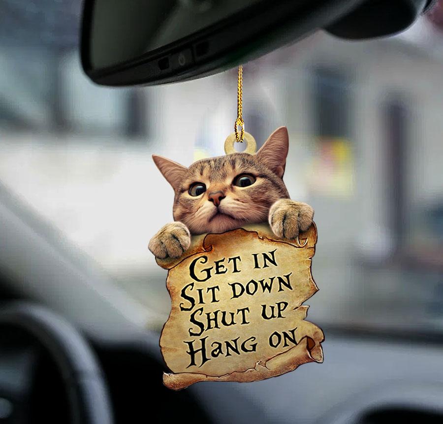 Cat get in cat lover two sided ornament, Funny Cat Ornaments, Christmas Decoration